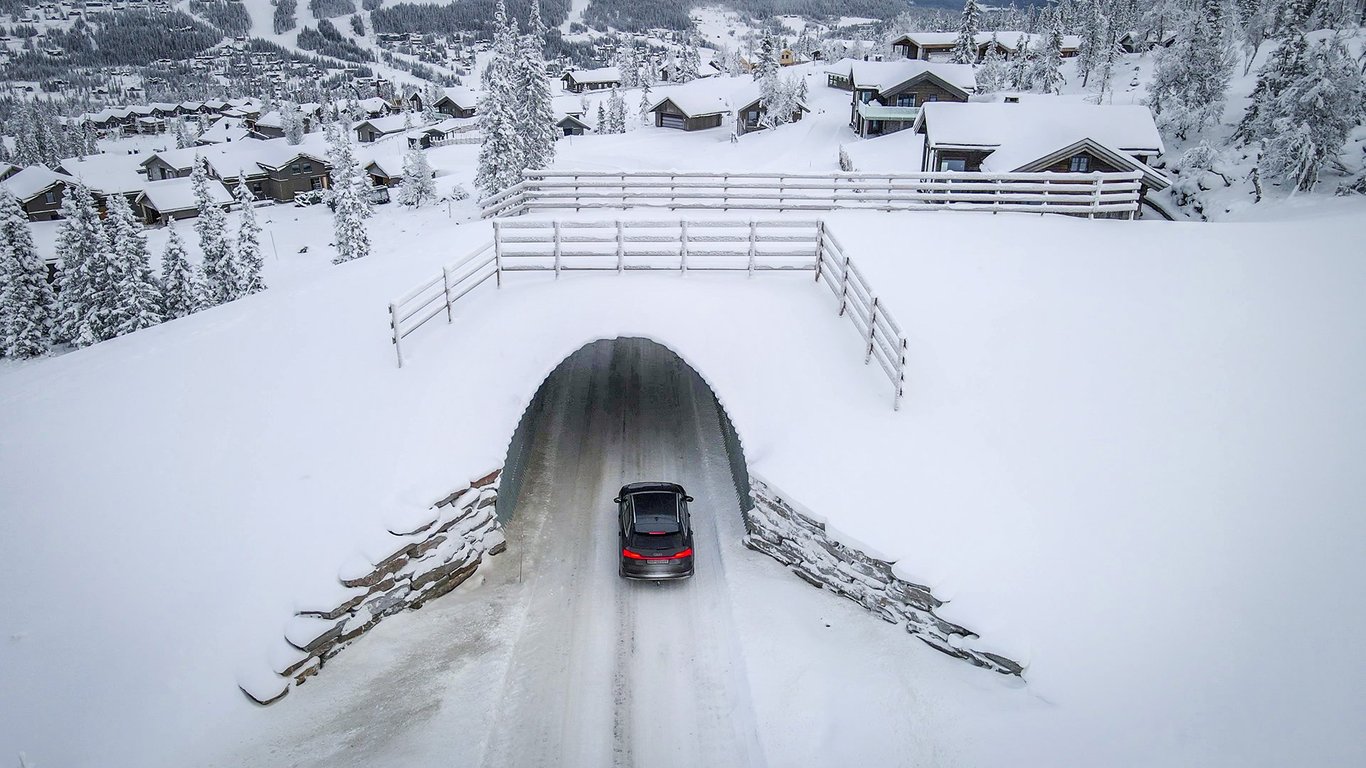 Geosyntia tunnell